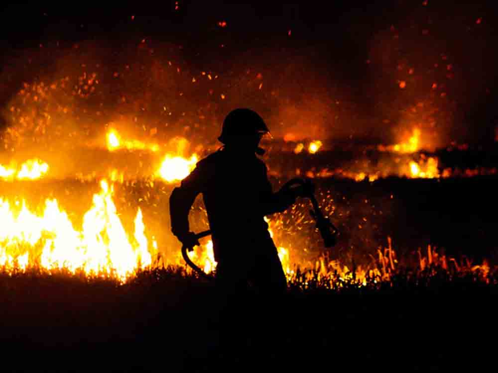 Polizei Gütersloh, Brand in einem Waldgebiet in Herzebrock-Clarholz