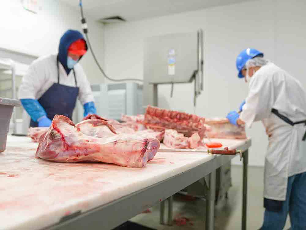 BMEL Pläne zur Tierhaltungskennzeichnung, Deutscher Tierschutzbund fordert Vertragstreue