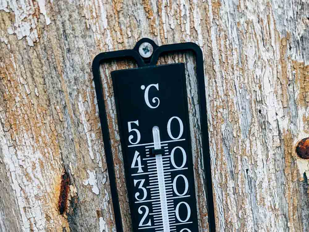 Klimaanpassung, Christian Kühn überreicht Förderscheck zur Klimaanpassung an Donau-Iller Werkstätten
