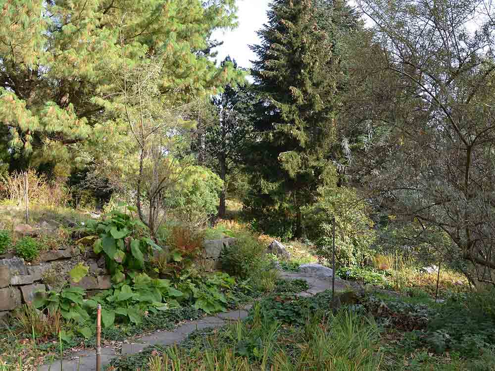 Gartenschätze der Nachkriegszeit bewahren, Botanischer Garten der Ruhr Universität ist Denkmal des Monats