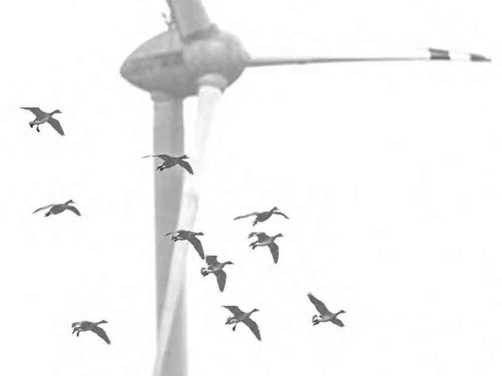 Erneuerbare Energien in Westfalen, LWL Veröffentlichung zeigt Verteilung und Potenziale Erneuerbare Energien in Westfalen, LWL Veröffentlichung zeigt Verteilung und Potenziale