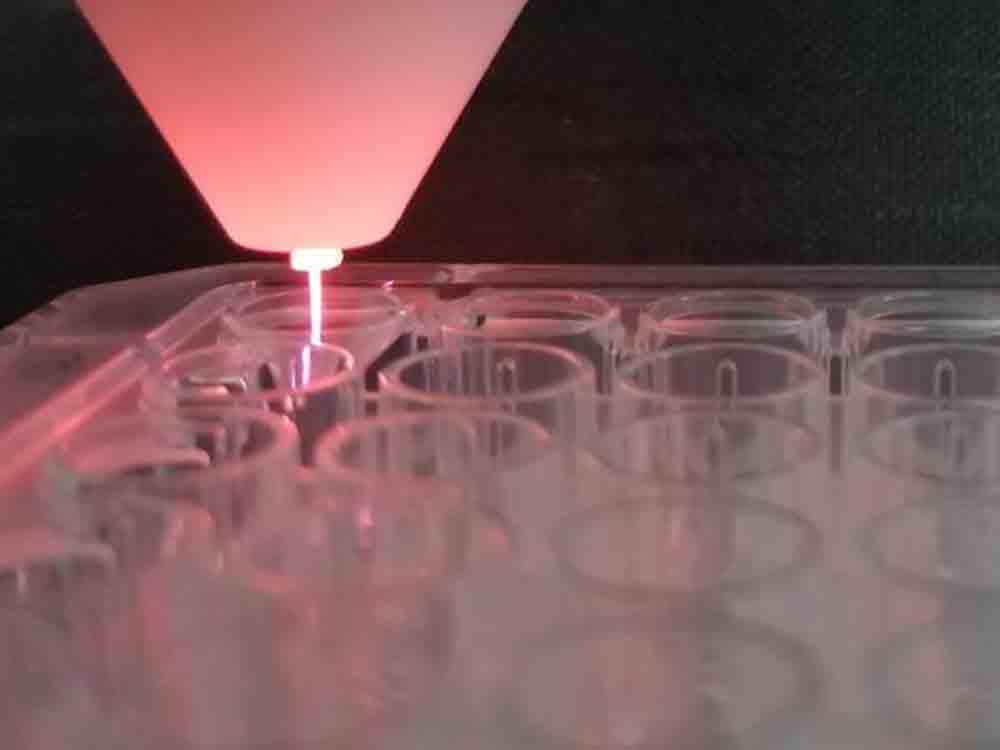 Kaltes physikalisches Plasma tötet Corona Viren, Leibniz Institut für Plasmaforschung und Technologie Kaltes physikalisches Plasma tötet Corona Viren, Leibniz Institut für Plasmaforschung und Technologie
