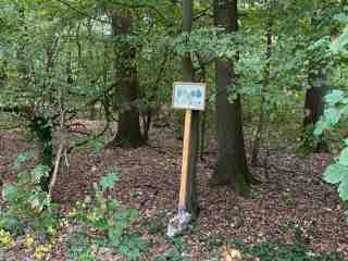 The NOW of Gütersloh