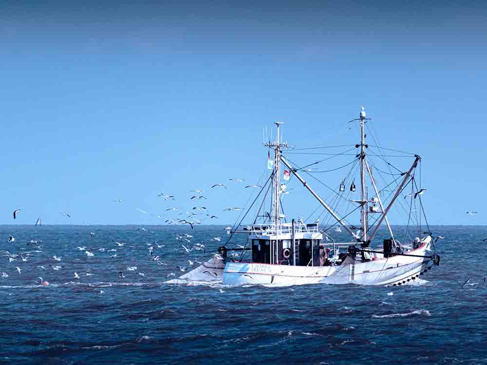 EU stoppt zerstörerische Tiefsee Fischerei auf 16.000 Quadratkilometern