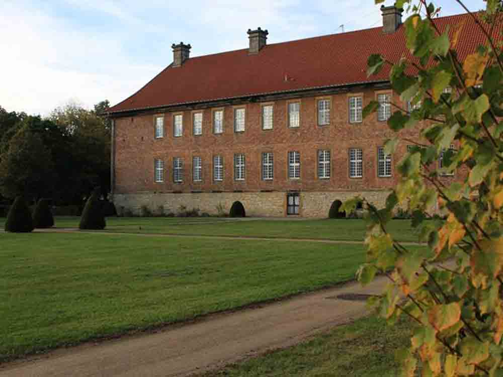Herzebrock Clarholz, Volkshochschule, Sonntagsführung im November 2022, spätherbstlicher Rundgang durch Clarholz, Kloster, Kirche und ein Baum