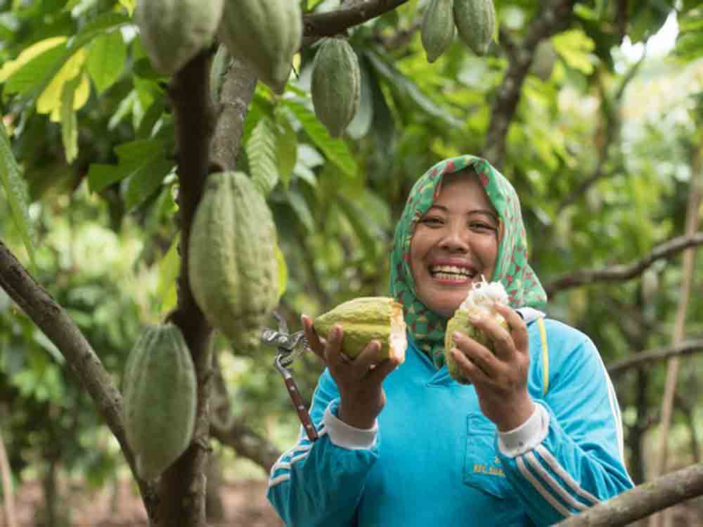 Mondelez International investiert insgesamt 1 Milliarde US Dollar in Nachhaltigkeitsprogramm Cocoa Life bis 2030 Mondelez International investiert insgesamt 1 Milliarde US Dollar in Nachhaltigkeitsprogramm Cocoa Life bis 2030