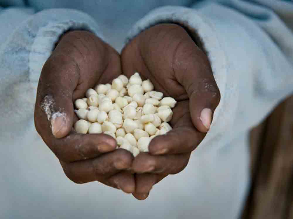 Gegen den Hunger in der Welt, Bündnis Aktion Deutschland Hilft und WDR setzen Zeichen gegen Hunger Gegen den Hunger in der Welt, Bündnis Aktion Deutschland Hilft und WDR setzen Zeichen gegen Hunger