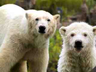 The NOW of Gütersloh