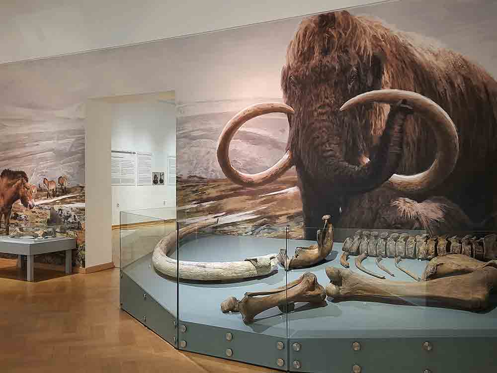 Auf geht’s in die Steinzeit. Familienführung am Sonntag, 11. Dezember 2022, 15 Uhr, Lippisches Landesmuseum Detmold