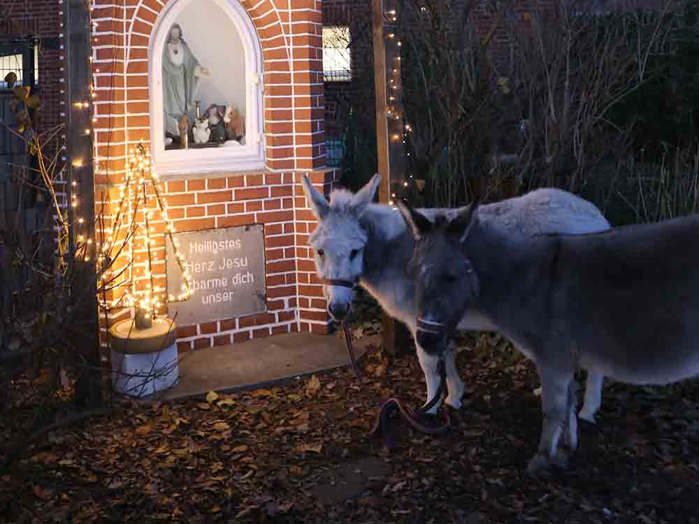 Gütersloh, Rietberg, Wunschzettel 2022 der Tiere, Achtung für Tiere, Tierschutzstiftung Lebenshof