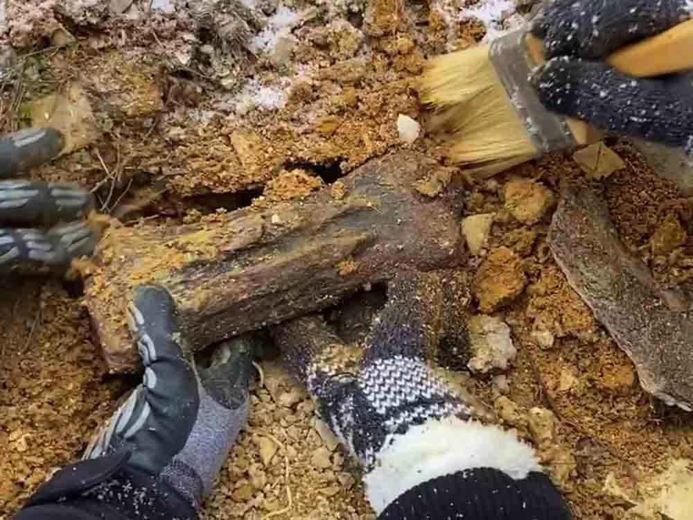 Neue Dinosaurier Spezies entdeckt? Möglicher Sensationsfund von Iglo Hobbyarchäologen in Rumänien Neue Dinosaurier Spezies entdeckt? Möglicher Sensationsfund von Iglo Hobbyarchäologen in Rumänien