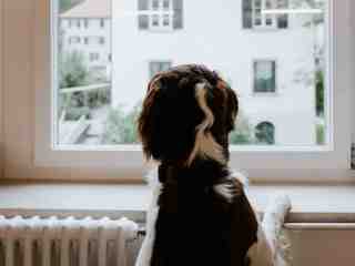 The NOW of Gütersloh