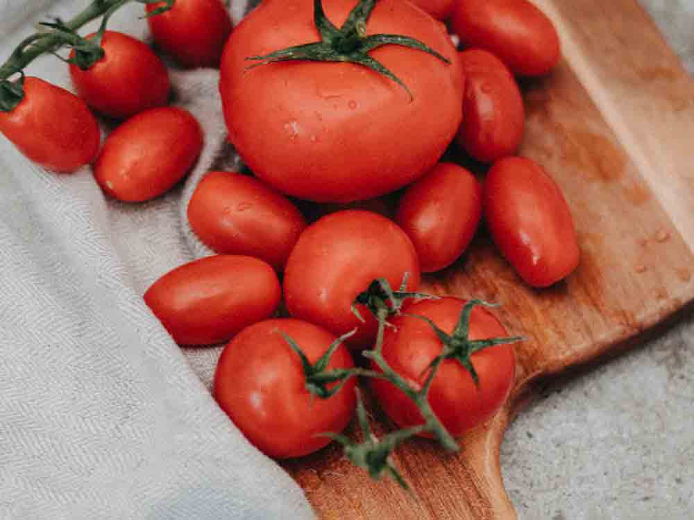 Verein Testbiotech, wie sicher ist der Tomatensalat der Zukunft? Risiken der Neuen Gentechnik für Mensch und Umwelt