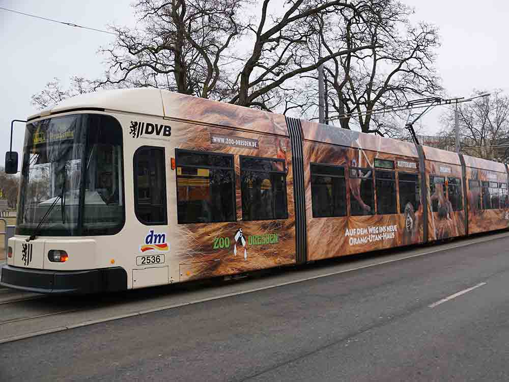 Zoo Dresden, Zoo Straßenbahn präsentiert sich 2023 im neuen Layout