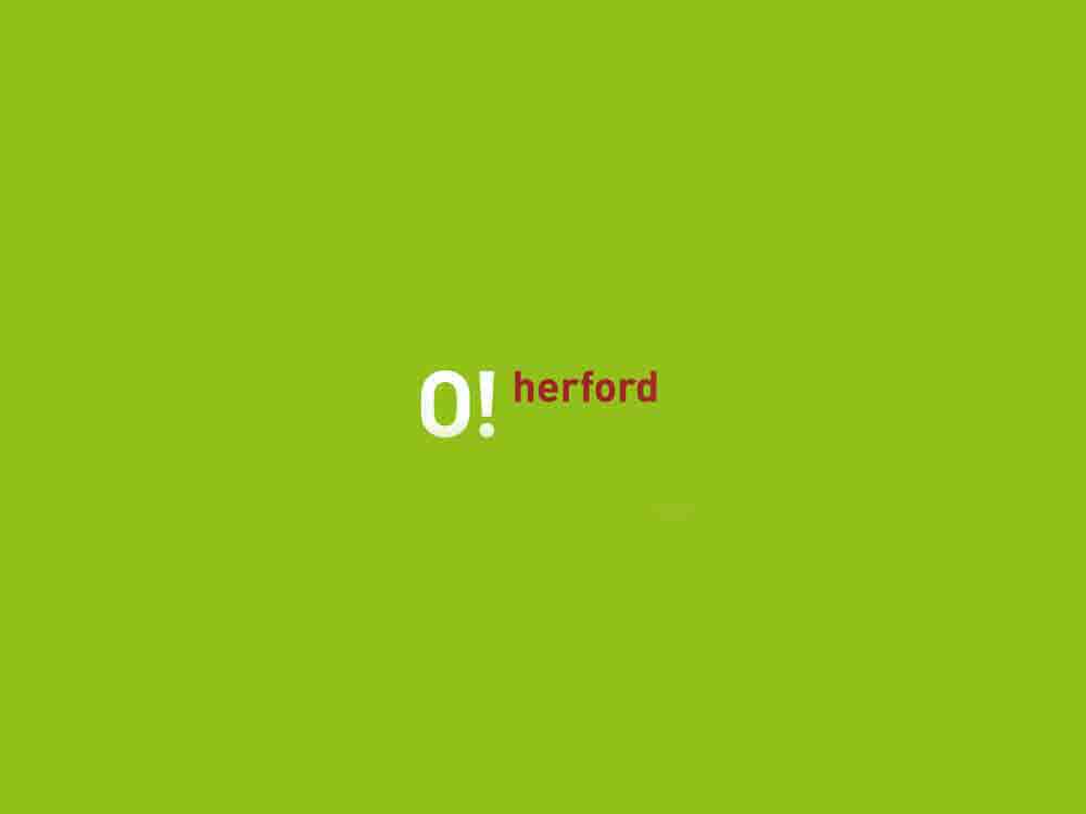 Herford, Stadtführung Mondscheingeschichten, romantische Seiten Herfords entdecken, 27. Januar 2023