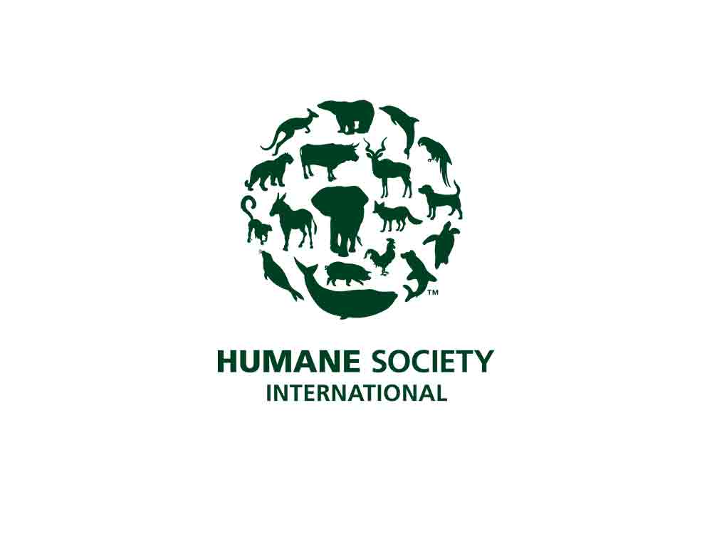 Mehr als 850 Aussteller aus 30 Ländern kommen nach Tennessee, um für die Tötung Tausender Tiere zu werben Mehr als 850 Aussteller aus 30 Ländern kommen nach Tennessee, um für die Tötung Tausender Tiere zu werben
