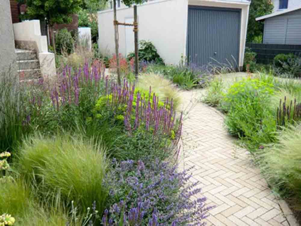 Verband Wohneigentum, mit kostenlosen Online Seminaren ins Gartenjahr 2023 starten