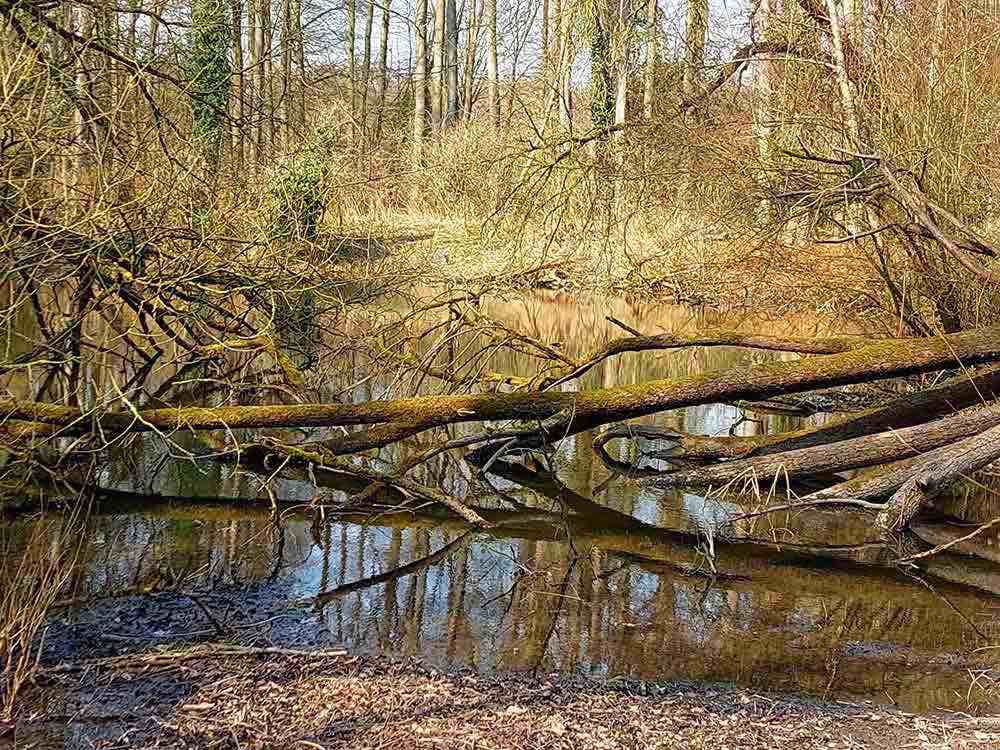 Kirchenkreis Projekt in Halle (Westfalen): »Klimahelden im Alltag« ruft zum Fotowettbewerb 2023 auf Kirchenkreis Projekt in Halle (Westfalen): »Klimahelden im Alltag« ruft zum Fotowettbewerb 2023 auf
