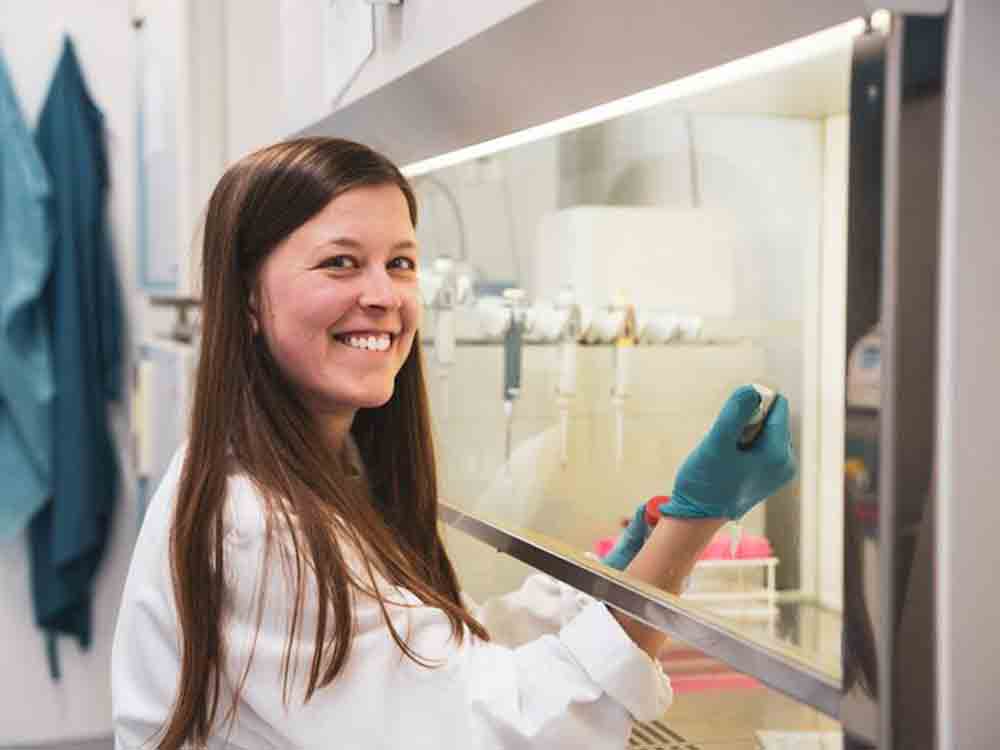 Künstliche Bauchspeicheldrüse: Ulmer Forscher gewinnen Pankreas Organoide aus Stammzellen, Universität Ulm