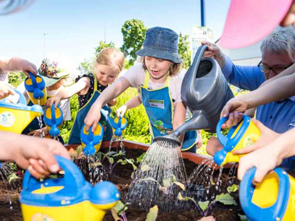 EDEKA: 15 Jahre »Gemüsebeete für Kids«: Ernährungsbildung als Erfolgsgeschichte