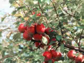 The NOW of Gütersloh