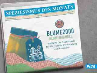 The NOW of Gütersloh