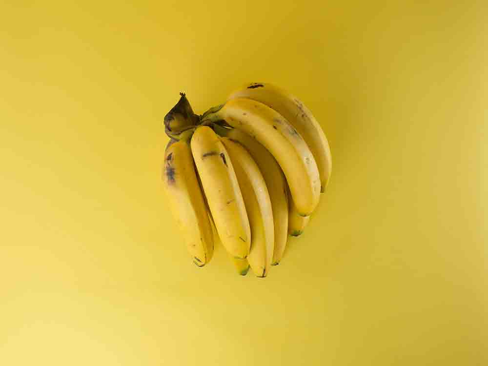 Einladung zur Finissage der Jubiläumsausstellung »Thomas Baumgärtel - 40 Jahre Bananensprayer«, 27. Mai 2023 Einladung zur Finissage der Jubiläumsausstellung »Thomas Baumgärtel - 40 Jahre Bananensprayer«, 27. Mai 2023