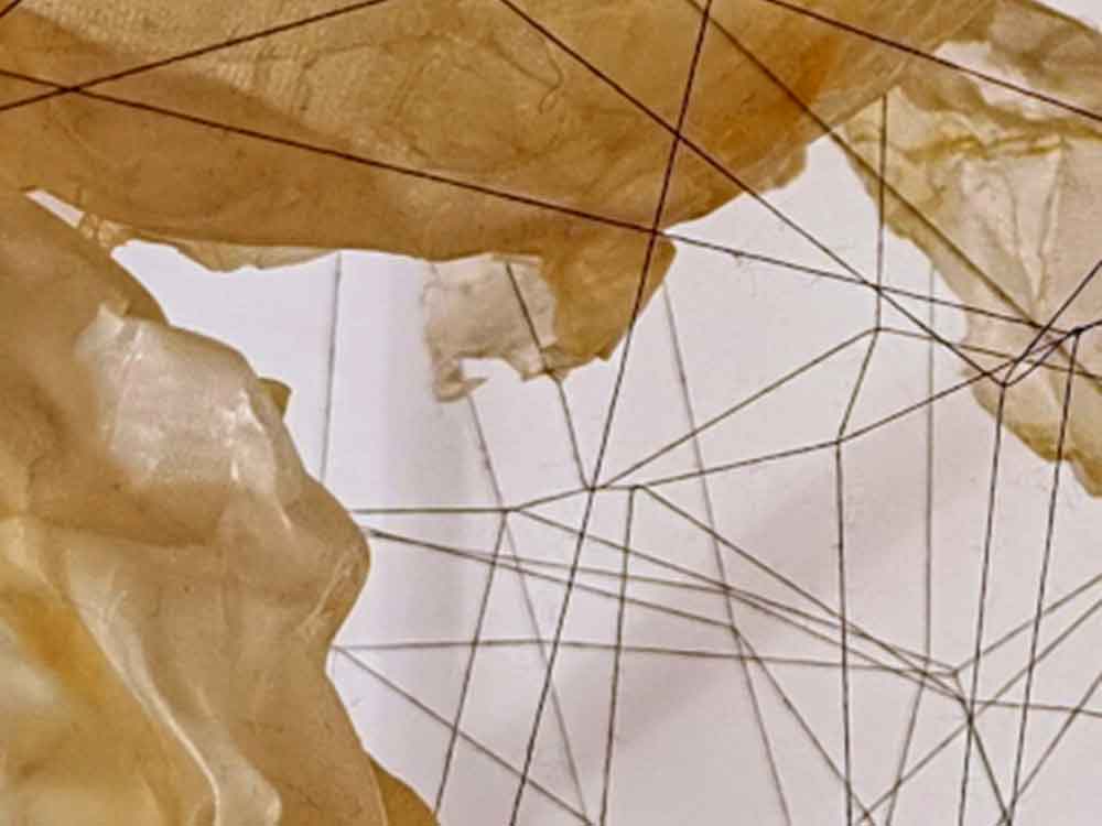 »Dickicht«, Caro Enax, Zeichnungen und Objekte, Treppenhausgalerie im Elsbachhaus Herford, 9. Juni bis 20. August 2023 »Dickicht«, Caro Enax, Zeichnungen und Objekte, Treppenhausgalerie im Elsbachhaus Herford, 9. Juni bis 20. August 2023