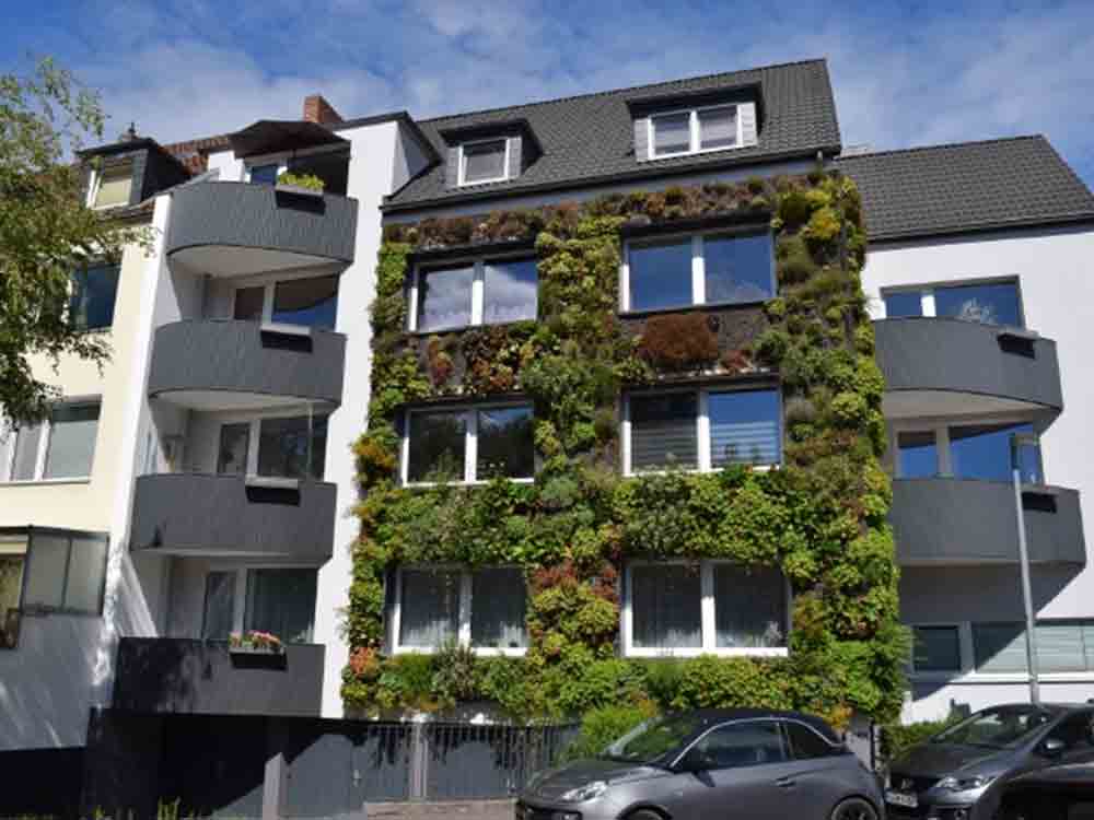 Landesinnung des Dachdeckerhandwerks Berlin, so grün können Immobilien sein