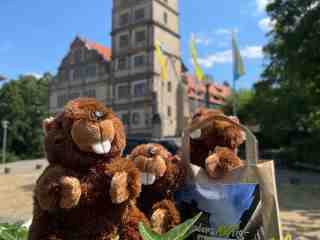 The NOW of Gütersloh