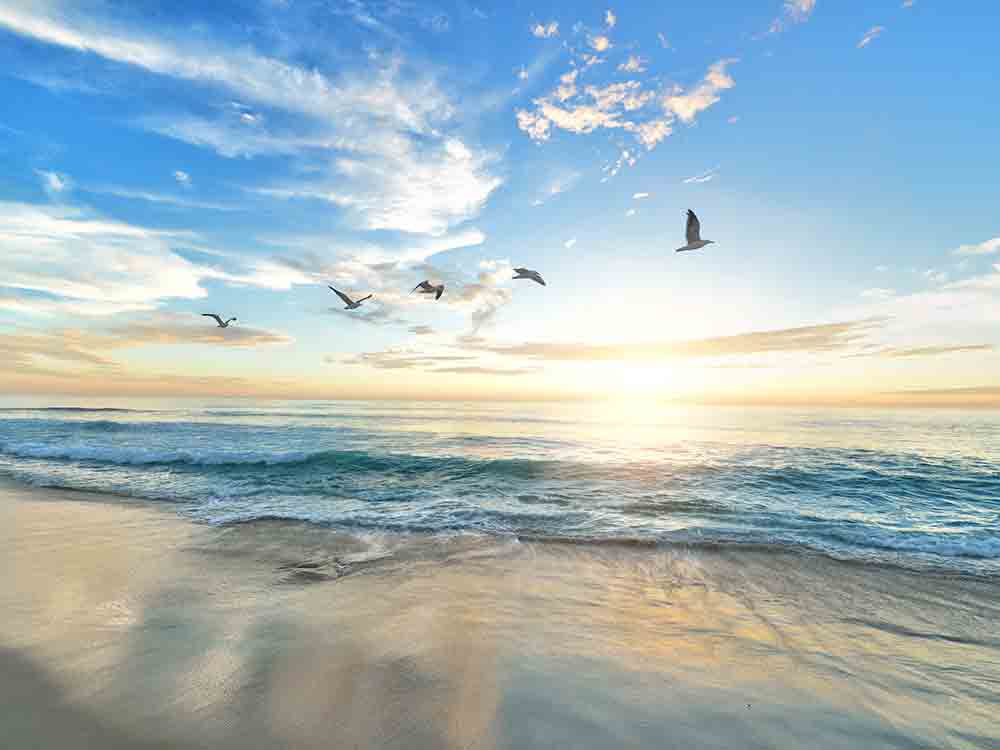 »Sea and Sand«, Sommer, Sonne und coole Beats im Ostseebad Kühlungsborn, 6. bis 9 Juli 2023 »Sea and Sand«, Sommer, Sonne und coole Beats im Ostseebad Kühlungsborn, 6. bis 9 Juli 2023