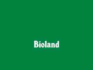 The NOW of Gütersloh