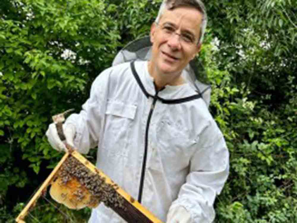 Mitten in Berlin: Großwäscherei bekommt neue Bienenvölker zum Weltbienentag Mitten in Berlin: Großwäscherei bekommt neue Bienenvölker zum Weltbienentag