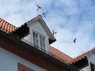 The NOW of Gütersloh