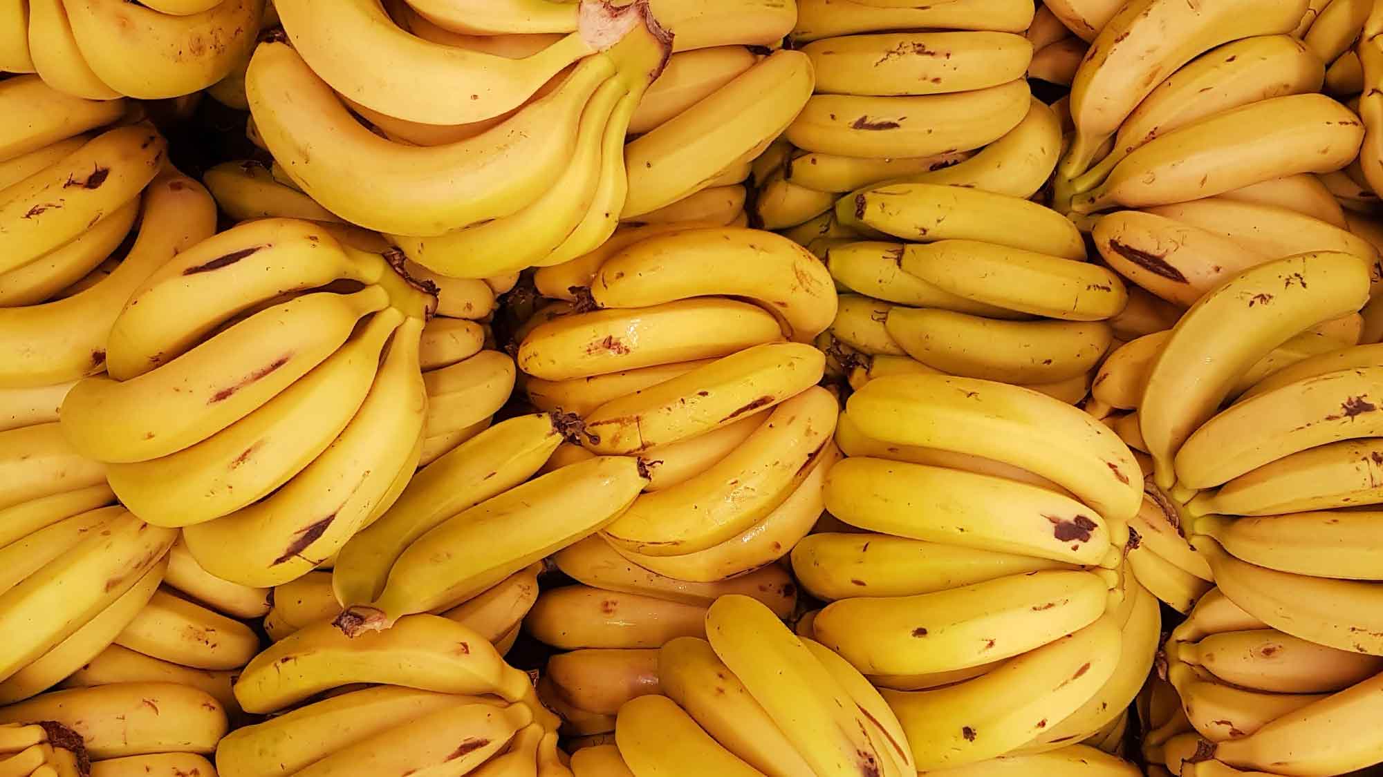Fairtrade Deutschland: Neues Angebot für existenzsichernde Löhne auf Bananenplantagen