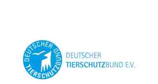 The NOW of Gütersloh