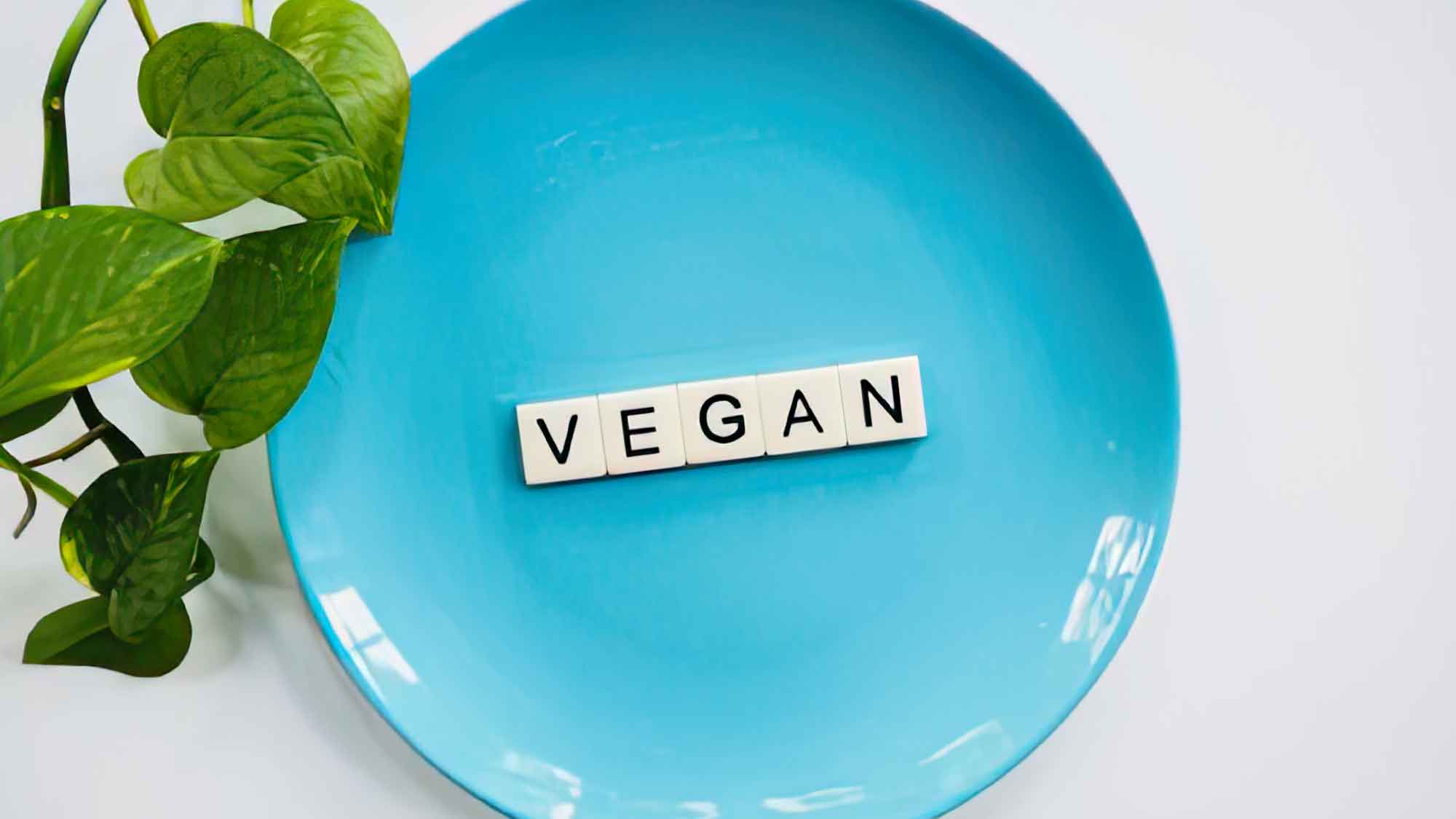 Optimale Nährstoffversorgung für Veganer und Vegetarier