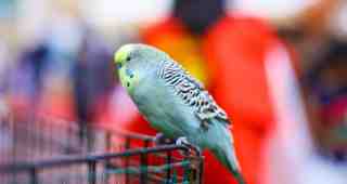 The NOW of Gütersloh