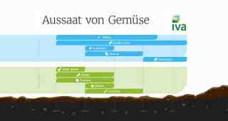 The NOW of Gütersloh