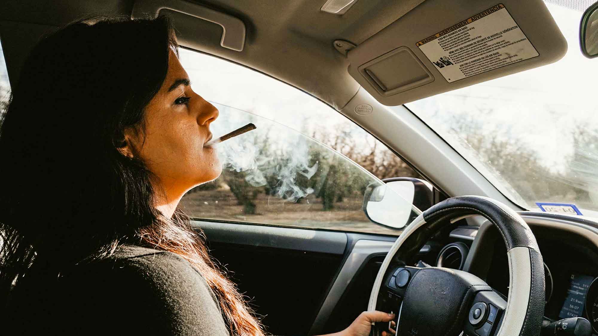 Cannabis Legalisierung: »Fahrer sind nur mit Verzicht auf der sicheren Seite«