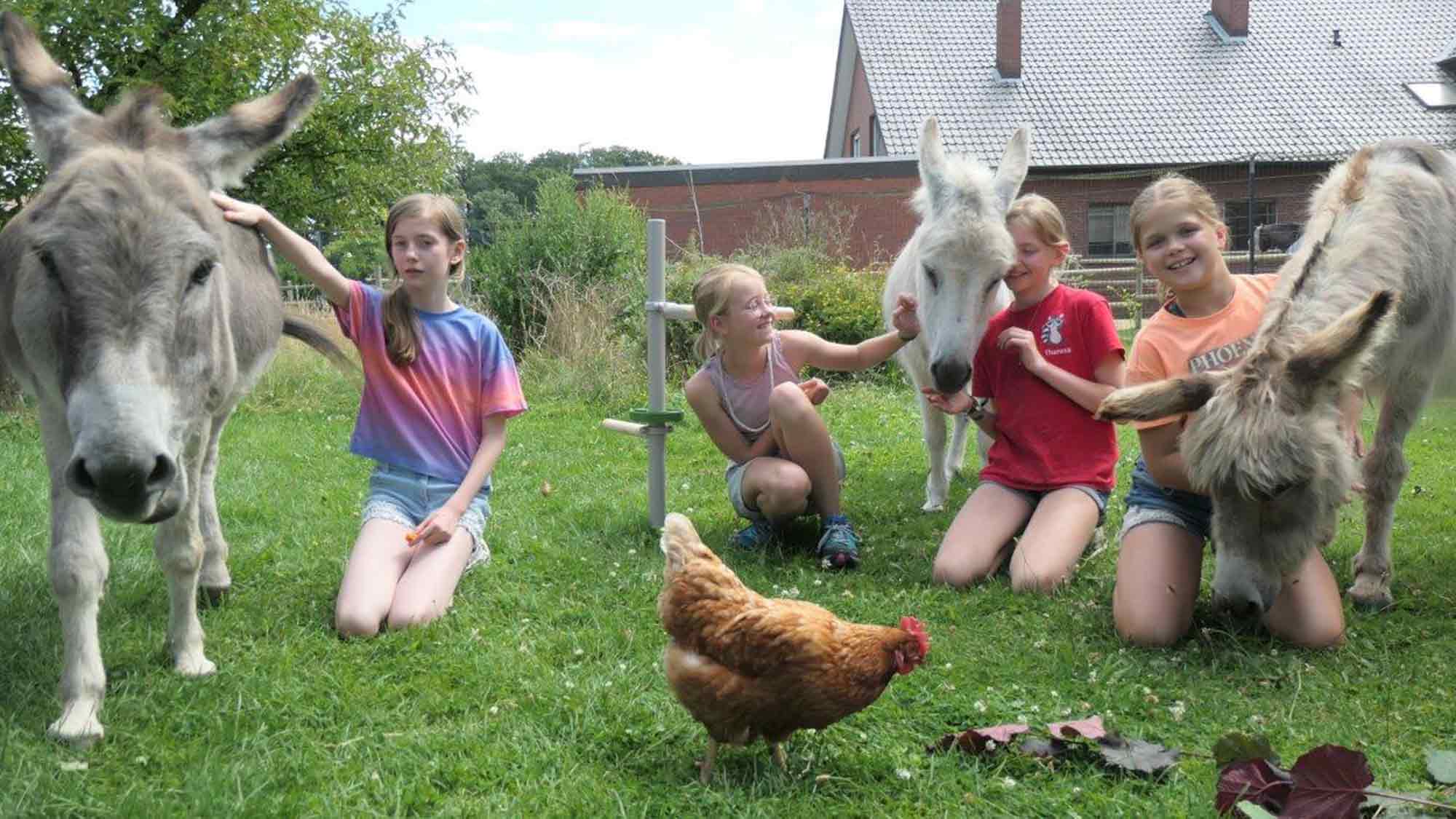 Aktivferien bei »Achtung für Tiere«: Jugendliche aus Gütersloh und Rietberg werden Tierschutzbotschafter Aktivferien bei »Achtung für Tiere«: Jugendliche aus Gütersloh und Rietberg werden Tierschutzbotschafter