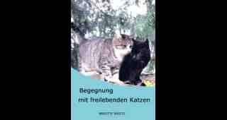 The NOW of Gütersloh