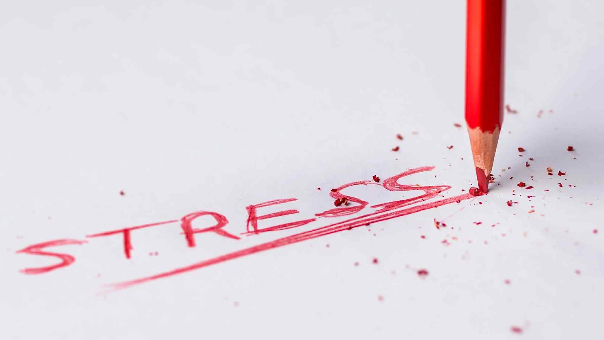 Evangelischer Kirchenkreis Gütersloh: immer mit der Ruhe – Stressmanagement im pädagogischen Alltag, 30. Januar 2025 Evangelischer Kirchenkreis Gütersloh: immer mit der Ruhe – Stressmanagement im pädagogischen Alltag, 30. Januar 2025