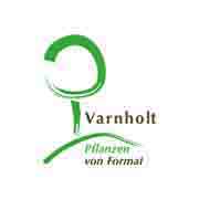 Varnholt – Grün mit System